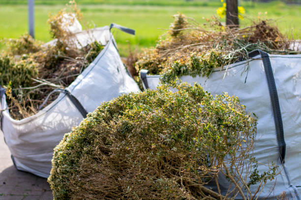 Best Junk Removal Near Me  in Midway, FL